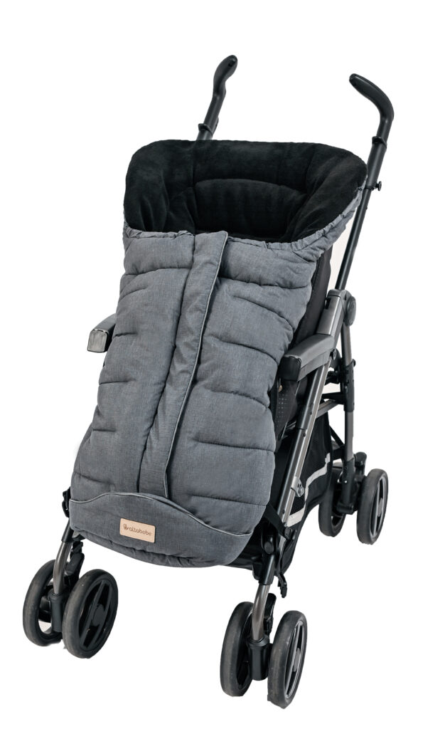 AL2204M-01 buggy